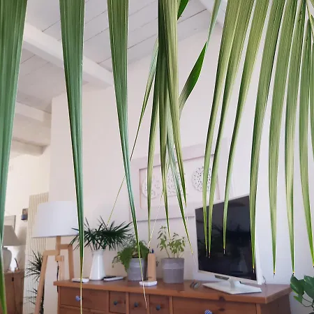 Azzurro Bed & Breakfast 4*