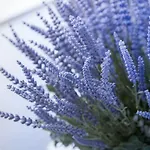 Azzurro Couette-café Cefalù